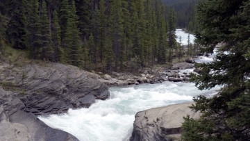 Картинка природа реки озера поток деревья река горная