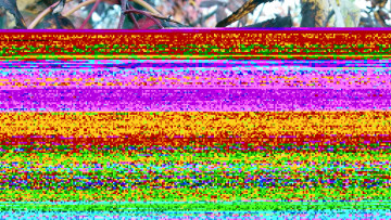 Картинка природа Ягоды ягоды алые осень