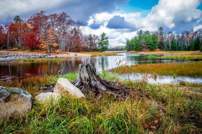 Обои картинки фото природа, реки, озера, река, лес