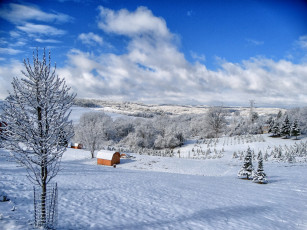 Картинка природа зима снег