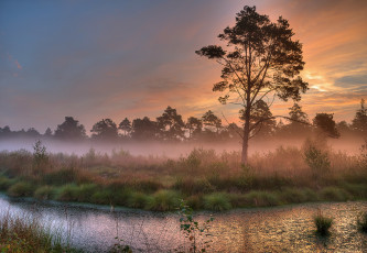 Картинка природа реки озера простор