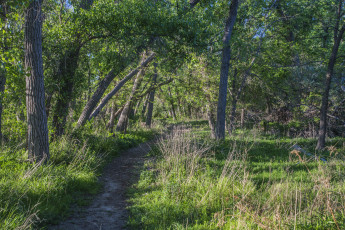 Картинка природа дороги тракт