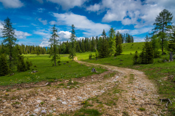 Картинка природа дороги тракт