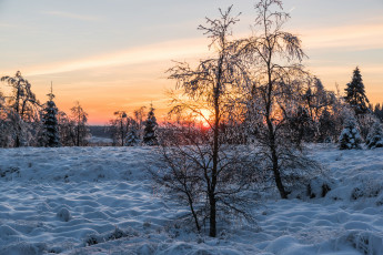 Картинка природа зима снег