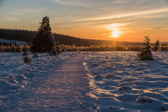 Картинка природа зима снег