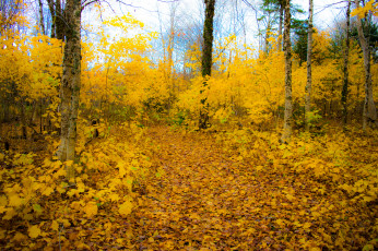 Картинка природа дороги простор