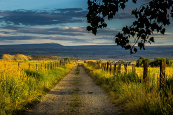 Картинка природа дороги простор