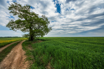 Картинка природа дороги тракт