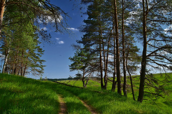 Картинка природа дороги тракт