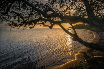 Картинка природа побережье море берег