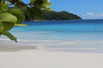 Картинка природа побережье песок пальмы море пляж