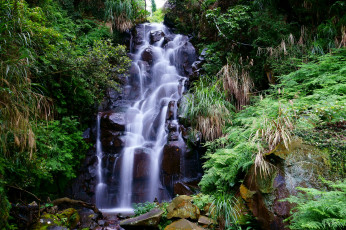 Картинка природа водопады река лес водопад