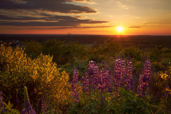 Картинка природа восходы закаты рассвет