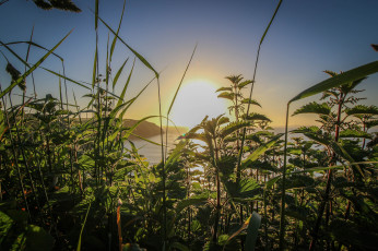 Картинка природа восходы закаты рассвет