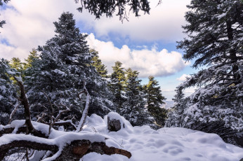 Картинка природа зима снег