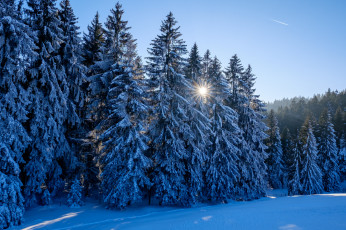 Картинка природа зима снег