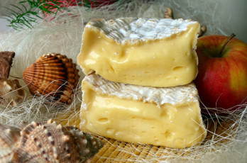 Картинка еда сырные+изделия сыр