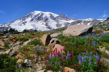 Картинка природа горы простор