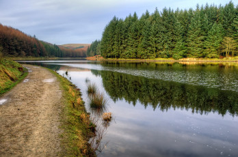 Картинка природа реки озера река лес