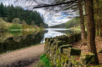 Картинка природа реки озера река лес