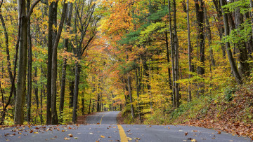 Картинка природа дороги простор