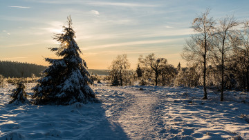 Картинка природа зима снег