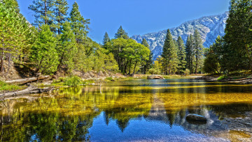 Картинка природа реки озера лес река