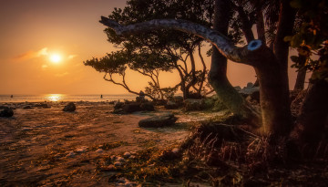 Картинка природа побережье море берег