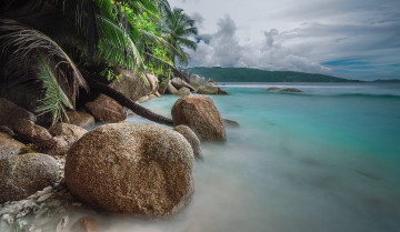 Картинка природа тропики курорт