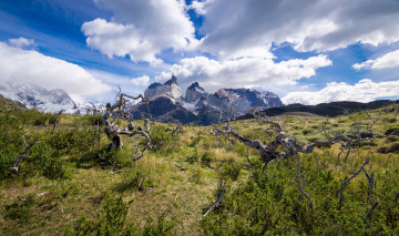 Картинка природа горы простор