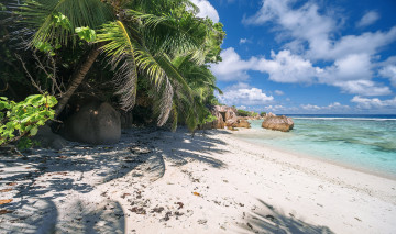 Картинка природа тропики курорт