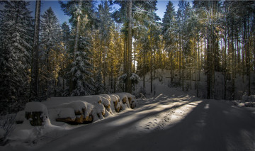 Картинка природа зима снег