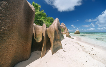 Картинка природа тропики курорт