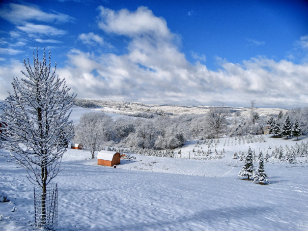 Обои картинки фото природа, зима, снег