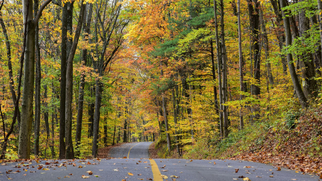 Обои картинки фото природа, дороги, простор