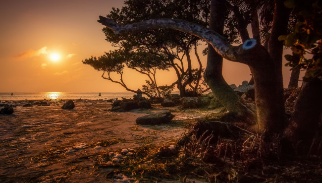 Обои картинки фото природа, побережье, море, берег