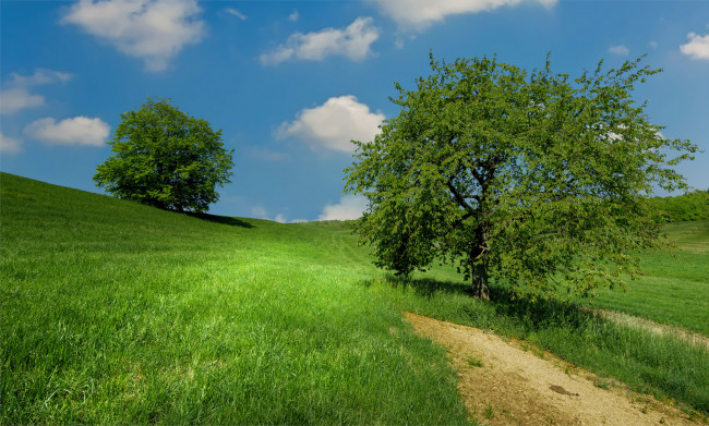 Обои картинки фото природа, дороги, тракт