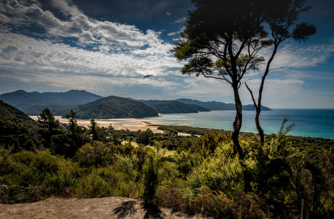 Обои картинки фото природа, побережье, море, берег