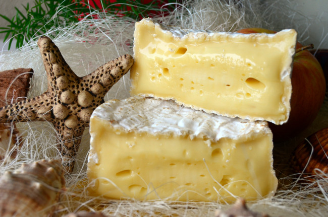 Обои картинки фото еда, сырные изделия, сыр