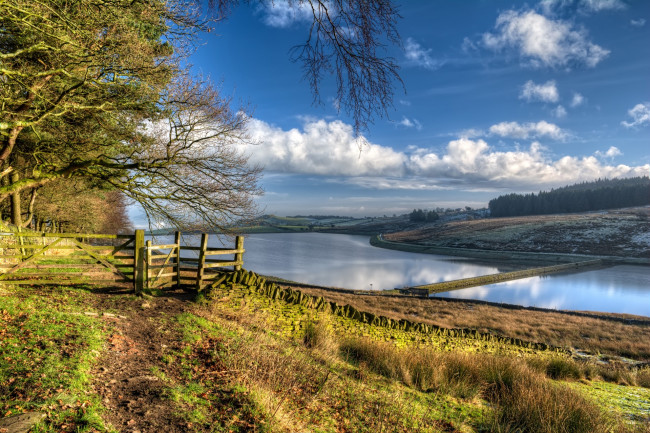 Обои картинки фото природа, реки, озера, река, лес