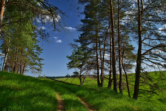 Обои картинки фото природа, дороги, тракт