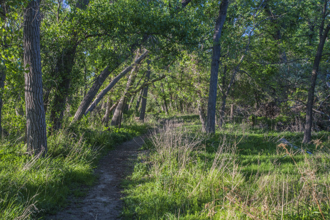 Обои картинки фото природа, дороги, тракт