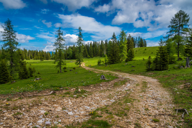 Обои картинки фото природа, дороги, тракт