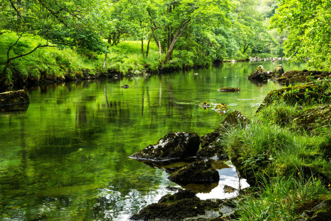 Обои картинки фото природа, реки, озера, лес, река