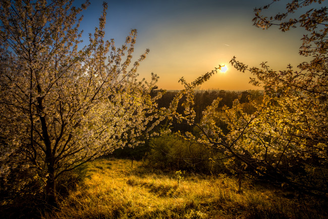 Обои картинки фото природа, восходы, закаты, простор