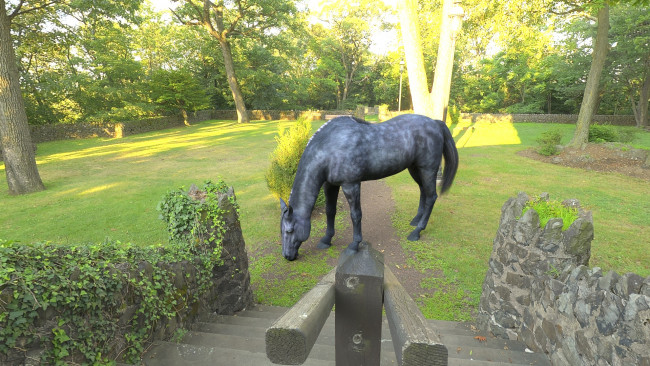 Обои картинки фото 3д графика, животные , animals, фон, лошадь