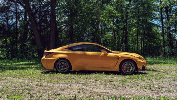 Картинка 2020+lexus+rc+f автомобили lexus купе 2020 rc f профиль лес природа