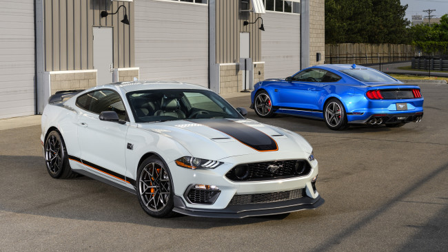 Обои картинки фото 2021 ford mustang mach 1, автомобили, mustang, купе, 2021, ford, mach, 1, форд, гараж
