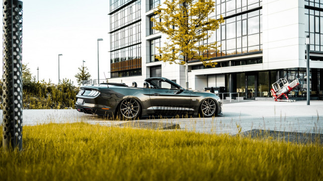 Обои картинки фото автомобили, mustang, ford, gt