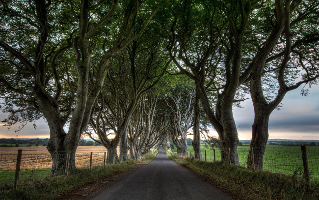 Обои картинки фото природа, дороги, шоссе